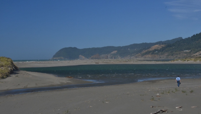 Pistol River meets the Pacific